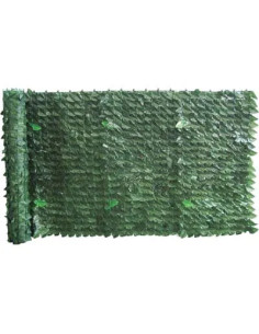 STARS SIEPE SEMPREVERDE LAURO SERIE PLUS