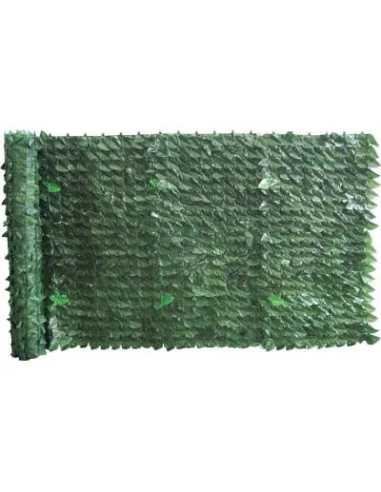 SIEPE SEMPREVERDE LAURO SERIE PLUS - STARS | Utensili Store