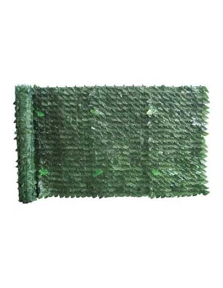 SIEPE SEMPREVERDE LAURO SERIE PLUS - STARS | Utensili Store