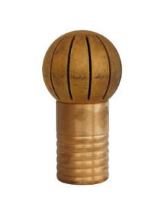 GENERICA SUCCHERUOLA + PORTAGOMMA