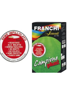 SEMI PRATO CAMPIONE PLUS - Senza Marca