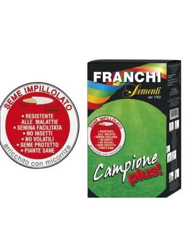 SEMI PRATO CAMPIONE PLUS - Senza Marca | Utensili Store