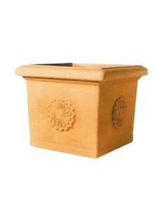 VASI QUADRI C/ROSONE IMPRUNETA  - Senza Marca