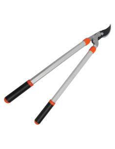 LIF TRONCARAMI A BY - PASS