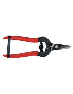 FORBICI COGLIUVA - LIF