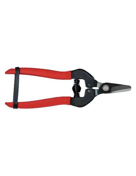 FORBICI COGLIUVA - LIF | Utensili Store