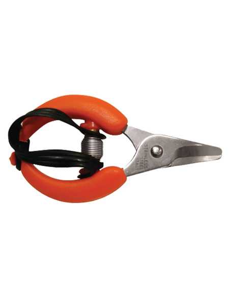 FORBICI COGLIAGRUMI - ECEF | Utensili Store