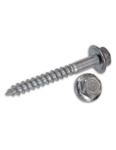 VITI MORDENTI - friulsider