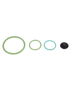 KIT GUARNIZIONI PER POMPA IRRORATRICE - DAL DEGAN