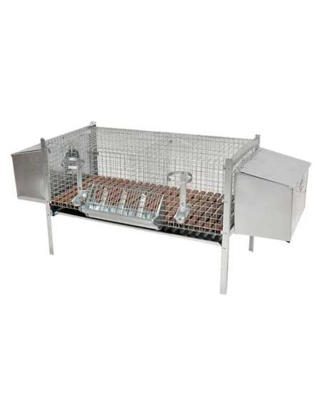 GABBIA CONIGLI DUE FATTRICI - MG GABBIE | Utensili Store