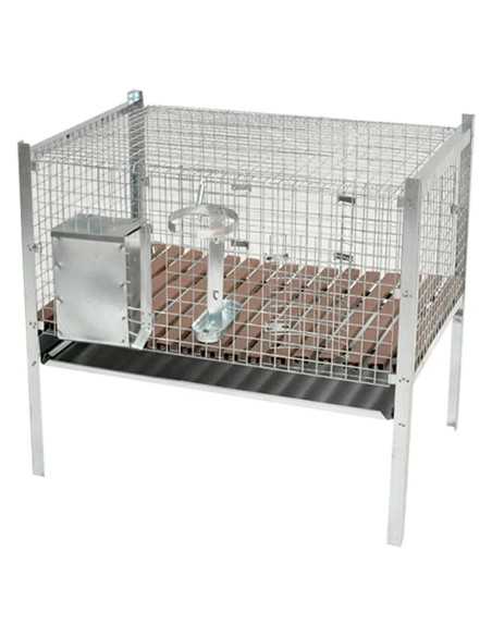 GABBIA CONIGLIO MASCHIO - MG GABBIE | Utensili Store