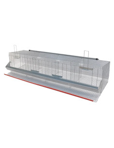 GABBIA GALLINE OVAIOLE QUATTRO CELLE - MG GABBIE