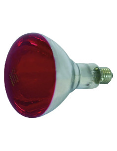 LAMPADA INFRAROSSI PER RIFLETTORE - ALBERT KERBL