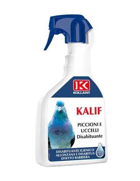 DISABITUANTE PICCIONI KALIF - KOLLANT | Utensili Store