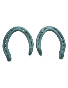 FERRI PER CAVALLO POSTERIORI - Senza Marca