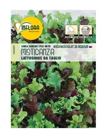 SEMI ORTO MISTICANZA LATTUGHINE DA TAGLIO - Senza Marca | Utensili Store