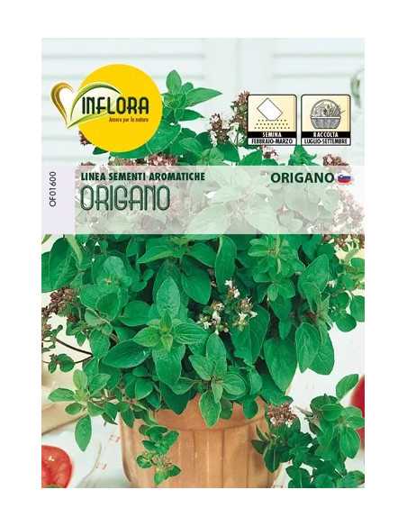 SEMI ERBA AROMATICA ORIGANO - Senza Marca | Utensili Store