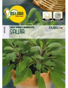 SEMI ERBA AROMATICA SALVIA - Senza Marca