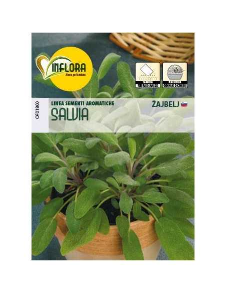 SEMI ERBA AROMATICA SALVIA - Senza Marca | Utensili Store