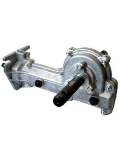 RIC.PAPILLON - MOTOZAPPA GRUPPO TRASMISSIONE - PAPILLON