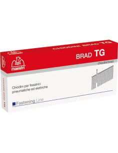 CHIODINI CHIODATRICE PNEUMATICA TG - MAESTRI