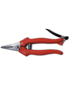 FORBICI COGLIUVA AUSONIA 150MM LAMA INOX  - Senza Marca