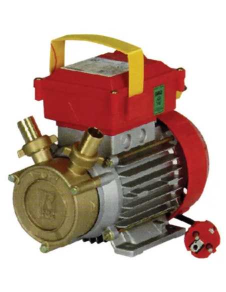 ELETTROPOMPA TRAVASO ROVER 30MM 0,9HP AUTOADESCANTE - Senza Marca | Utensili Store