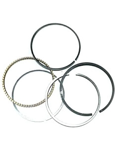 RIC.PAPILLON - RASAERBA KIT FASCE PISTONE - PAPILLON