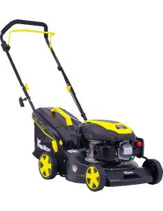 RASAERBA SCOPPIO PAPILLON - PAPILLON