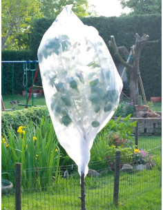 TELO PROTEZIONE ORTAGGI CAPPUCCIO TNT - PAPILLON