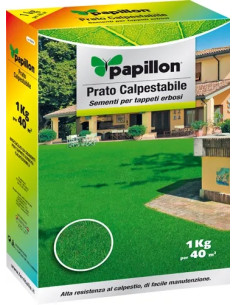 SEMI PRATO PAPILLON - PAPILLON