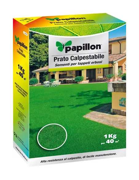 SEMI PRATO PAPILLON - PAPILLON | Utensili Store