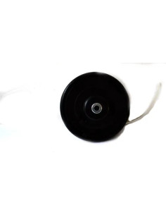 RIC.LINEA VERDE - DECESP. TESTINA - DISPONIBILE