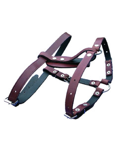 Senza Marca PETTORALE PER CANE 2