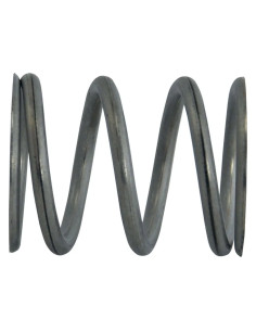 MOLLA PER PERNO tipo gigante - REBER