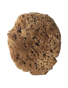 SPUGNA PER EFFETTI DECORATIVI tipo sintetico tondo - COLOREA