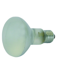 LAMPADA A FUNGO - NOVITAL