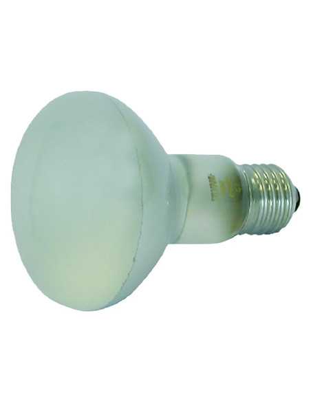 LAMPADA A FUNGO - NOVITAL | Utensili Store