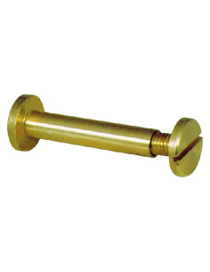 VITE A CANNOCCHIALE - Koncreto