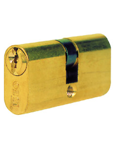 ISEO CILINDRO OVALE DA INFILARE 2