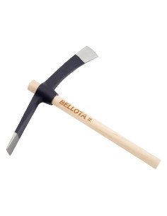 MARTELLINA 'MALEPEGGIO' - BELLOTA