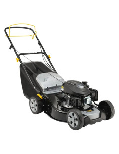 RASAERBA A SCOPPIO 'AL446 SA' - ALPINA