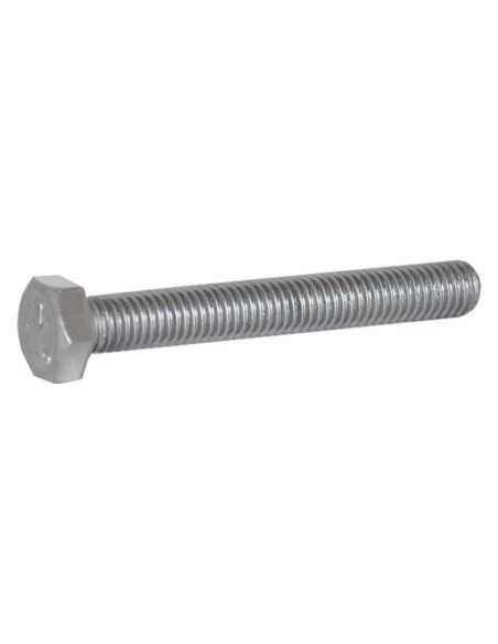 BULLONE TESTA ESAGONALE INOX - Senza Marca | Utensili Store