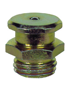 INGRASSATORE TIPO TECALEMIT - Senza Marca 2