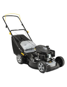 RASAERBA A SCOPPIO 'AL446 A' - ALPINA