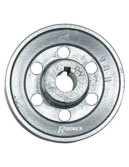 PULEGGIA PER MOTORE - RIBIMEX | Utensili Store