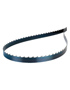 LAMA A NASTRO PER SEGATRICI LEGNO - FEMI