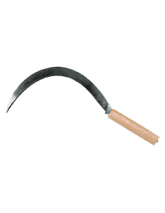 FALCIOLA DENTATA - FALCI