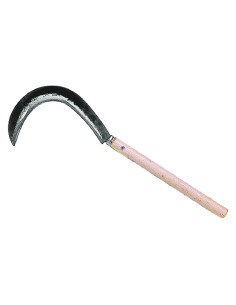 RONCOLA PER BIETOLA - LIF