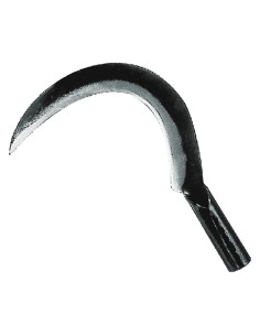 RONCOLA 'SCANSANO' - LIF